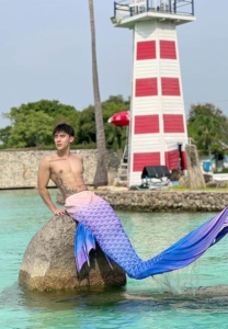 เบียร์-ทินกฤต