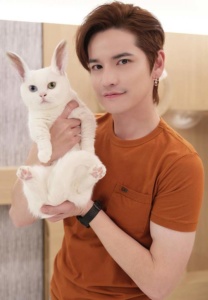 เต๋า-เศรษฐพงศ์-แมวเหมียว