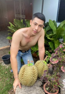 Arthur-fruit Arthur-fruit