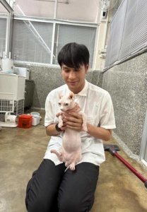 o-pet