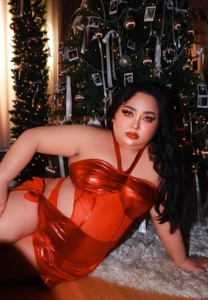 Eclairs-xmas เอแคลร์ จือปาก