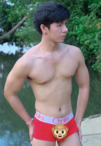 umnaj-monkey ต้าวนาจ ไหทองคำ